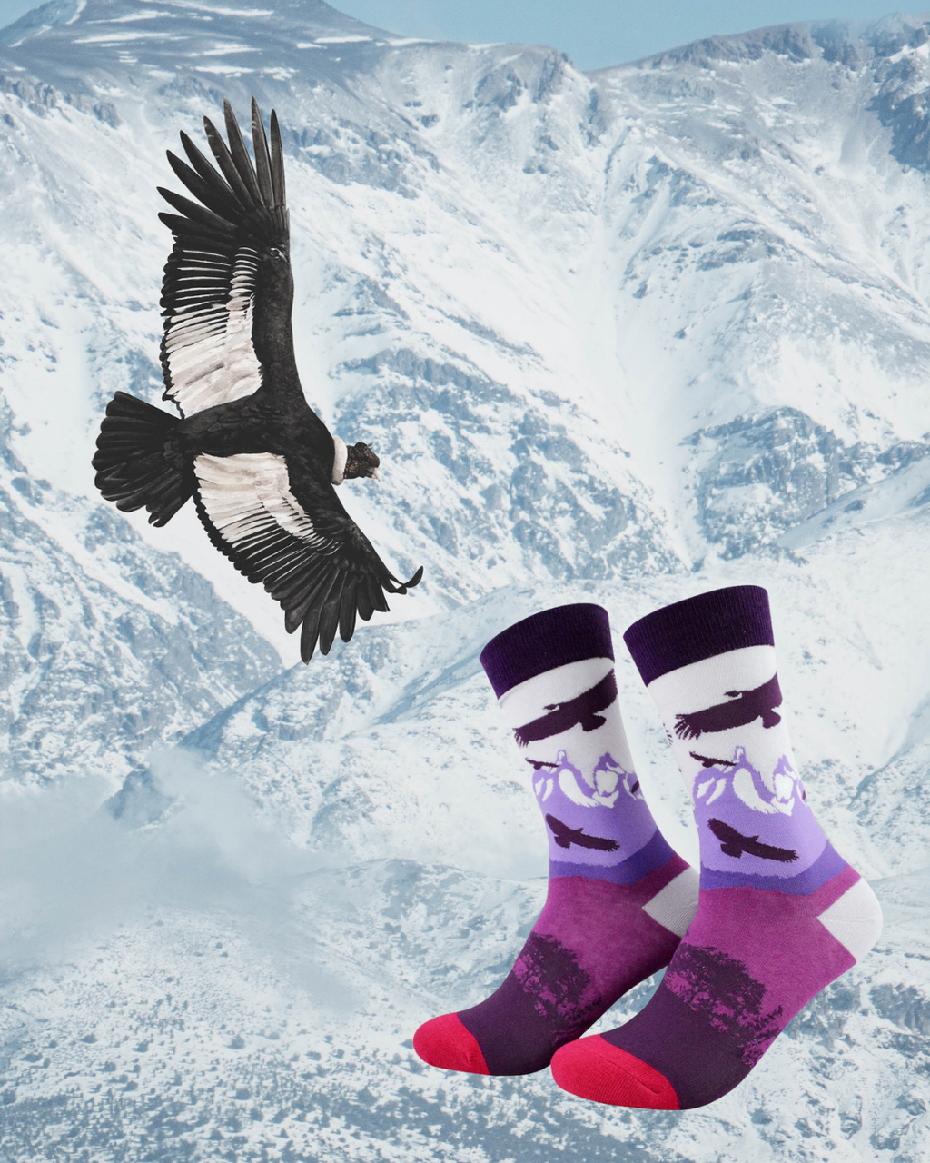 Calcetines Cóndor Rosado