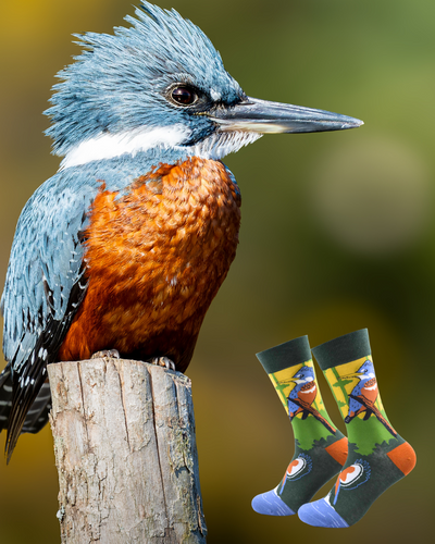 Calcetines Martin Pescador