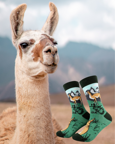 Calcetines Guanaco