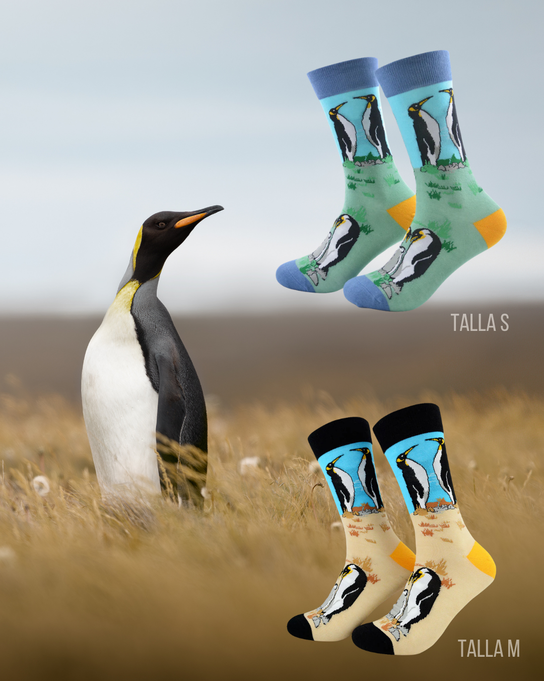 Calcetines Pinguino Rey