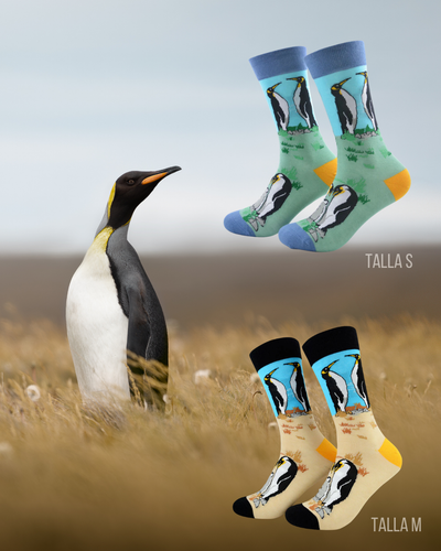 Calcetines Pinguino Rey
