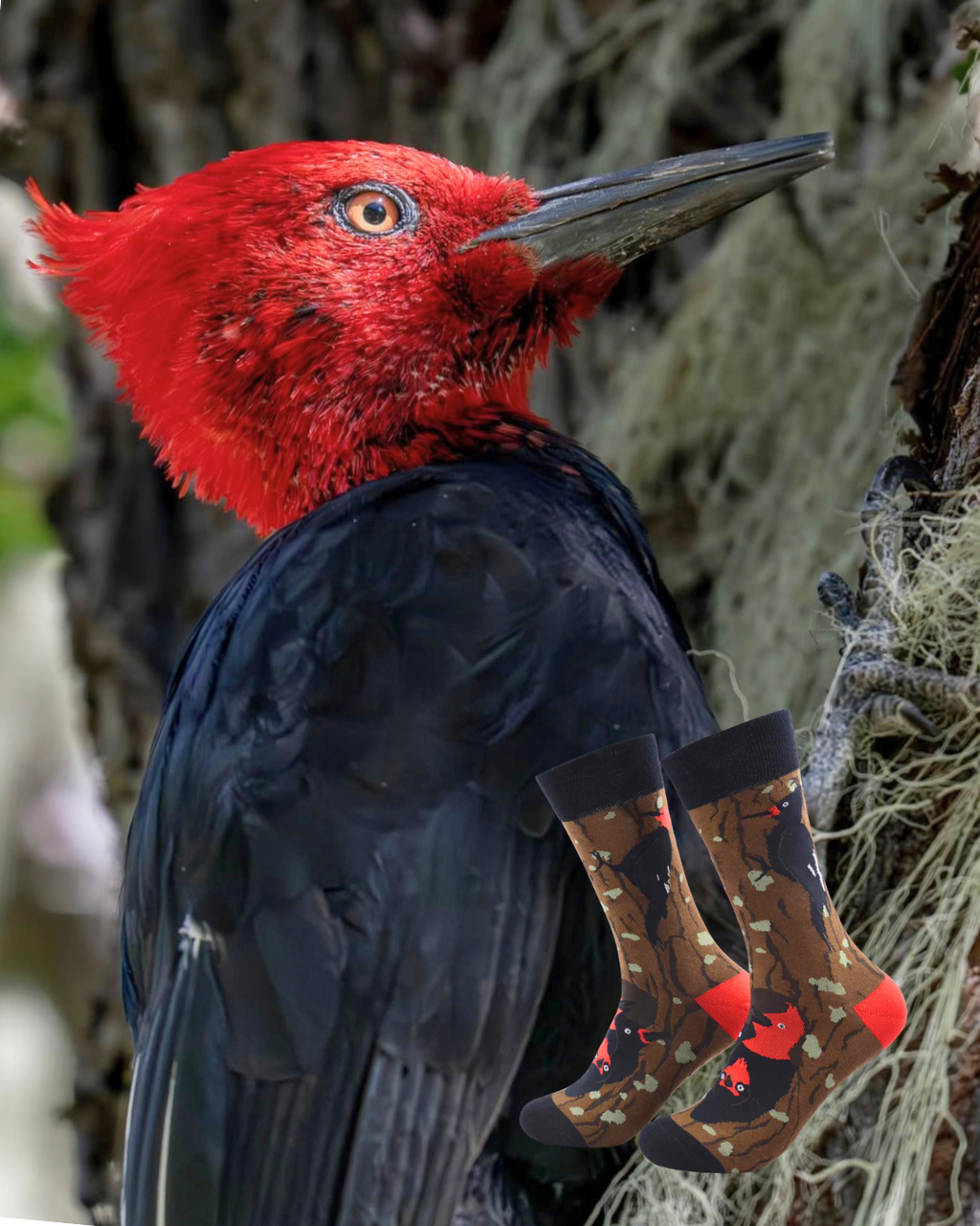 Calcetines Carpintero Negro