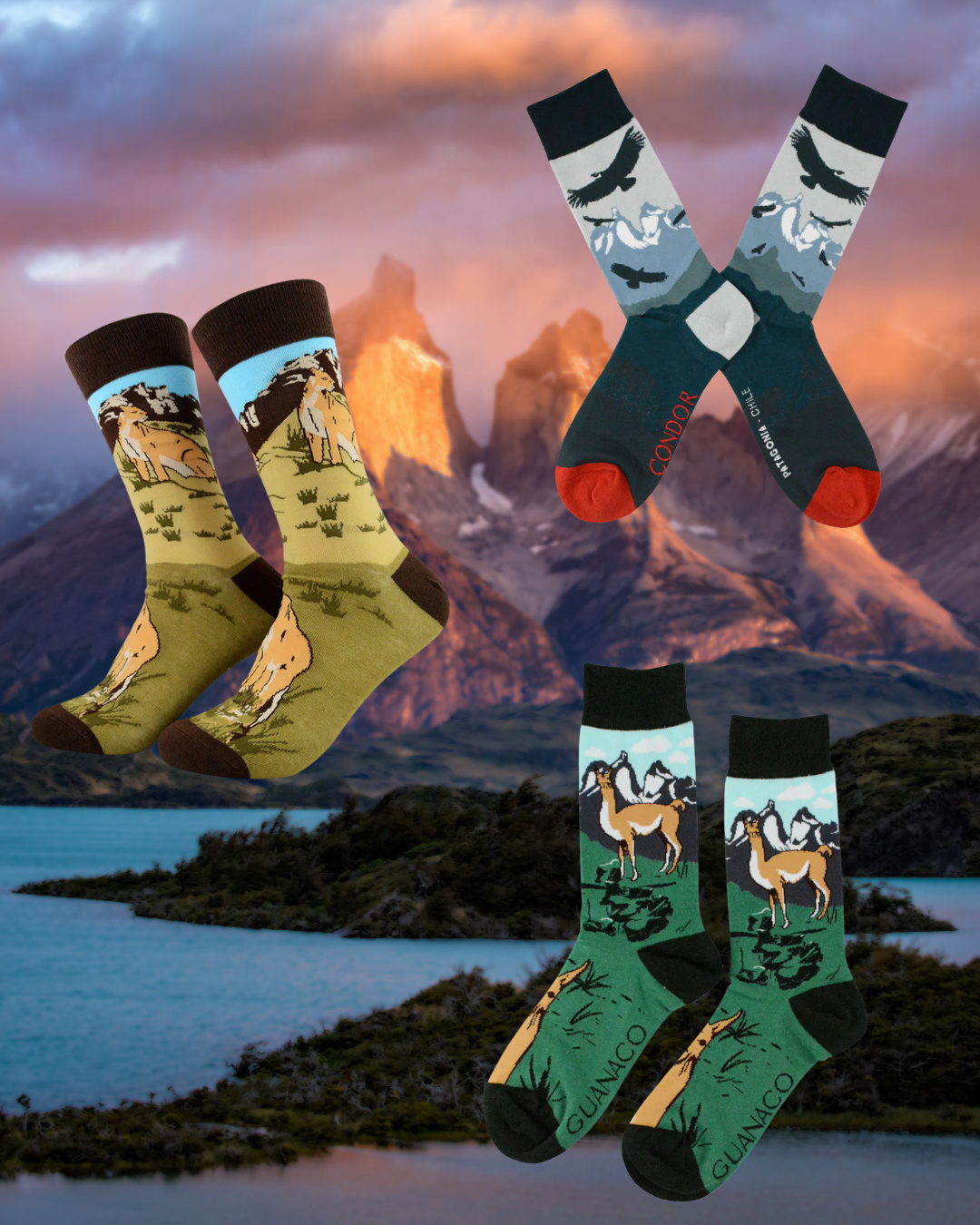 Pack Patagonia – Edición Fauna Chilena 🇨🇱