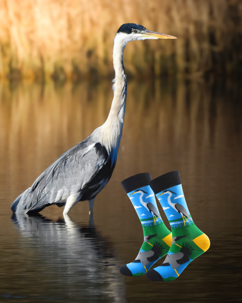 Calcetines Garza Cuca