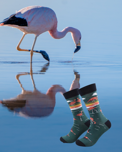 Calcetines Flamenco
