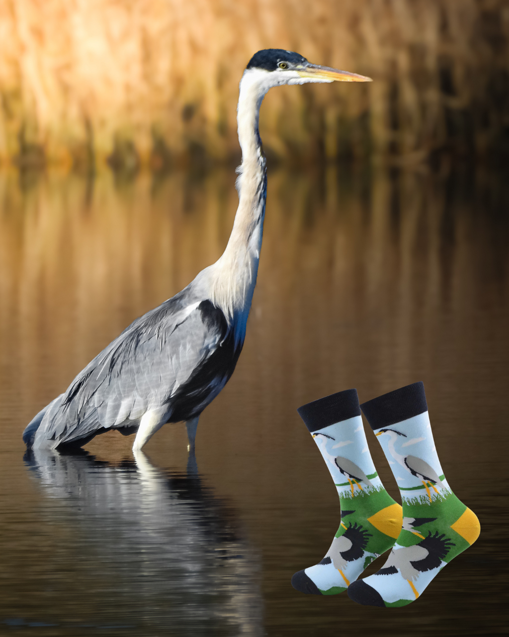 Calcetines Garza Cuca