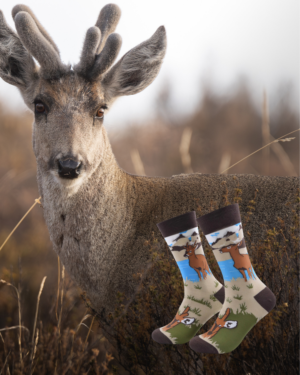 Calcetines Huemul