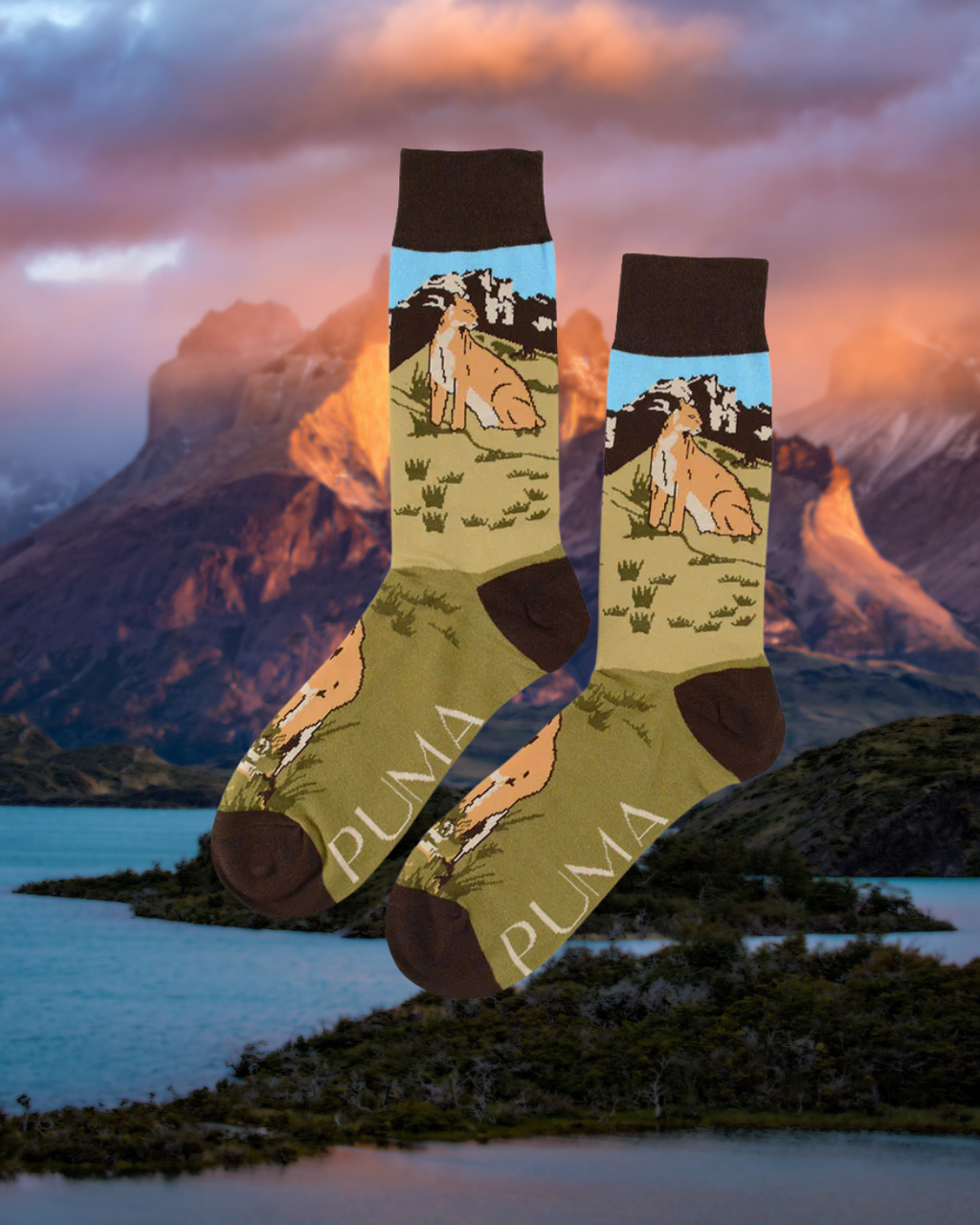 Pack Patagonia – Edición Fauna Chilena 🇨🇱