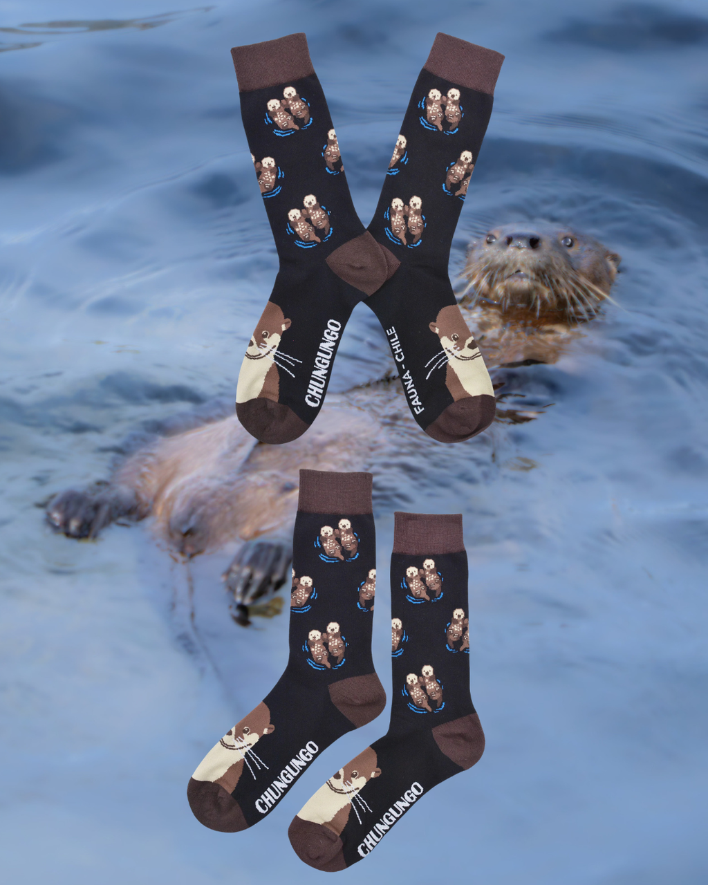 Calcetines Chungungo