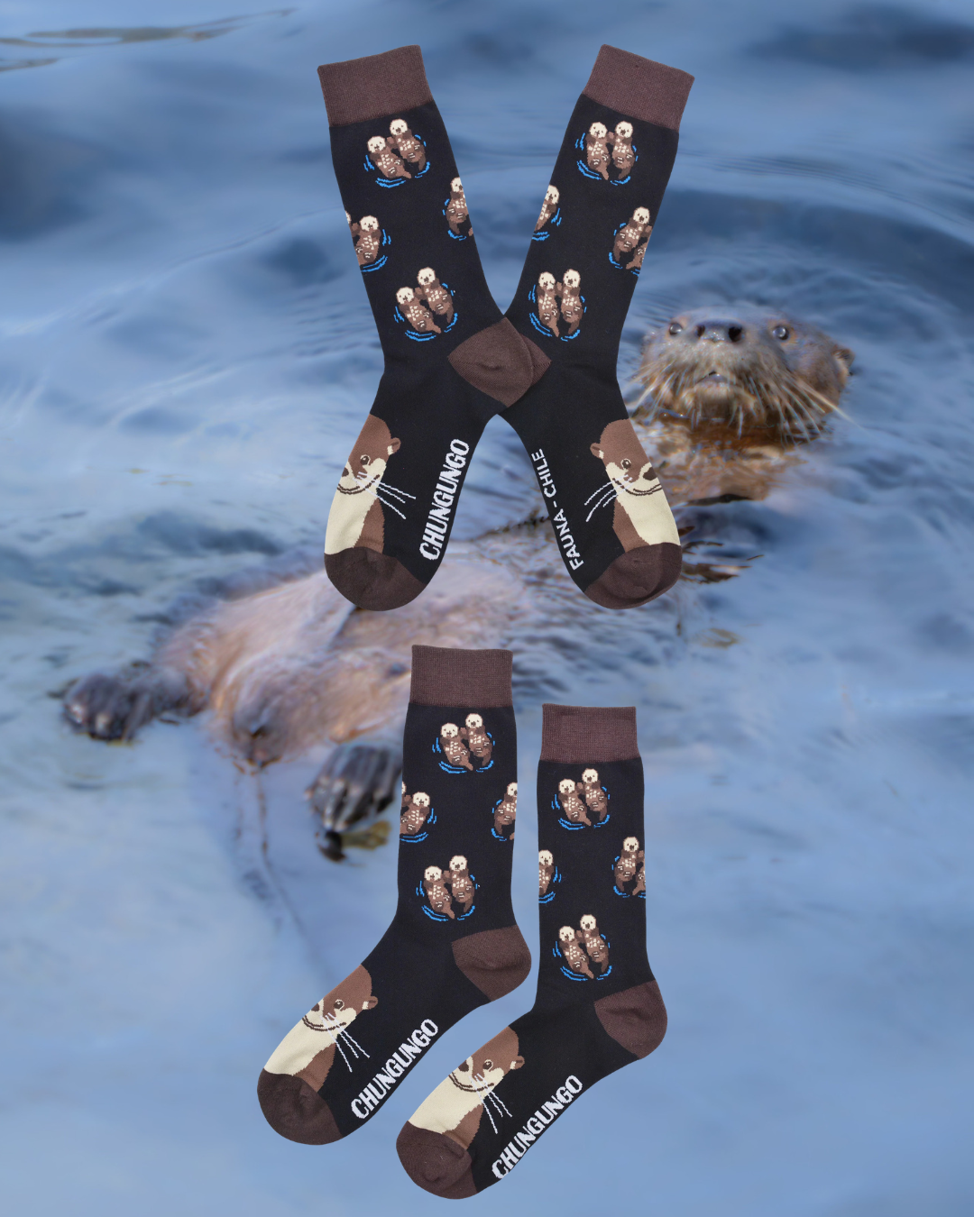 Calcetines Chungungo