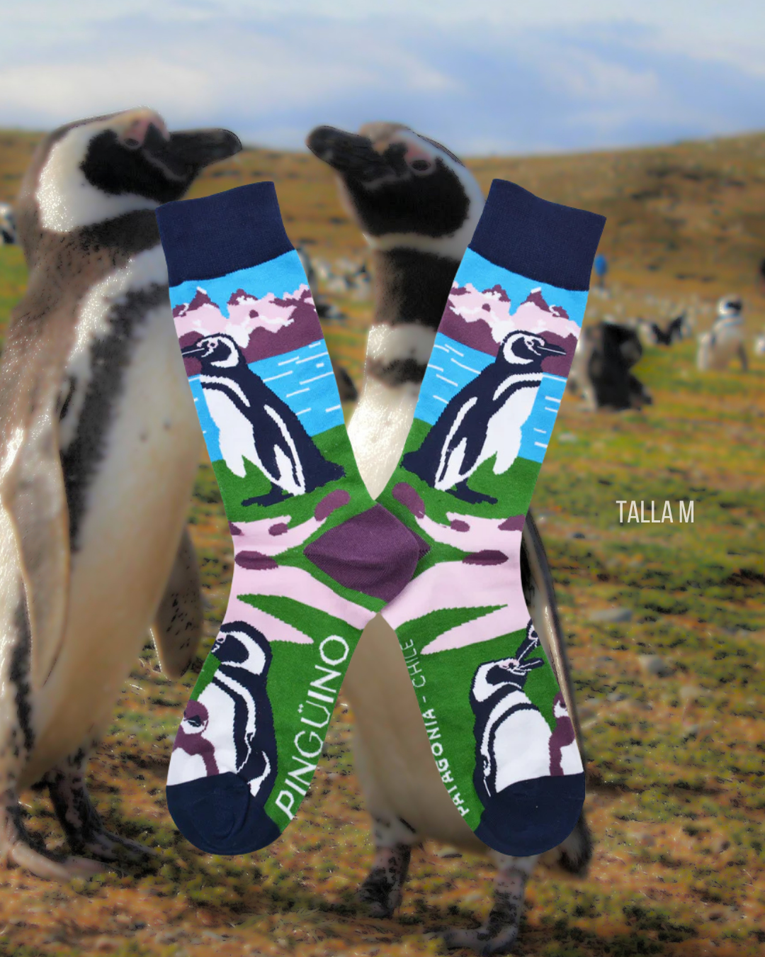 Calcetines Pingüino Magallanes