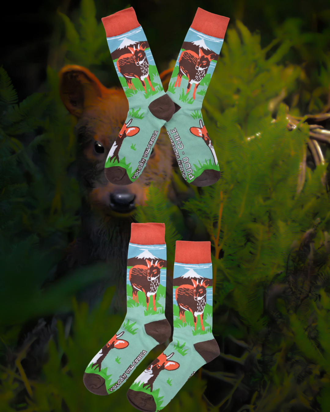Calcetines Pudú