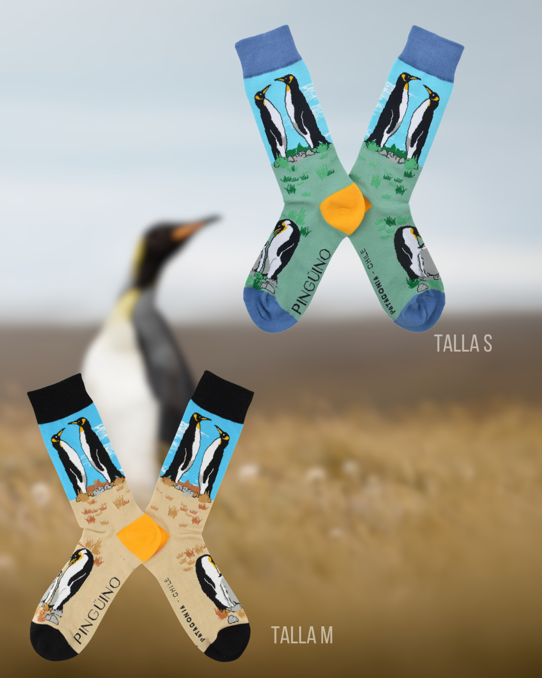 Calcetines Pinguino Rey