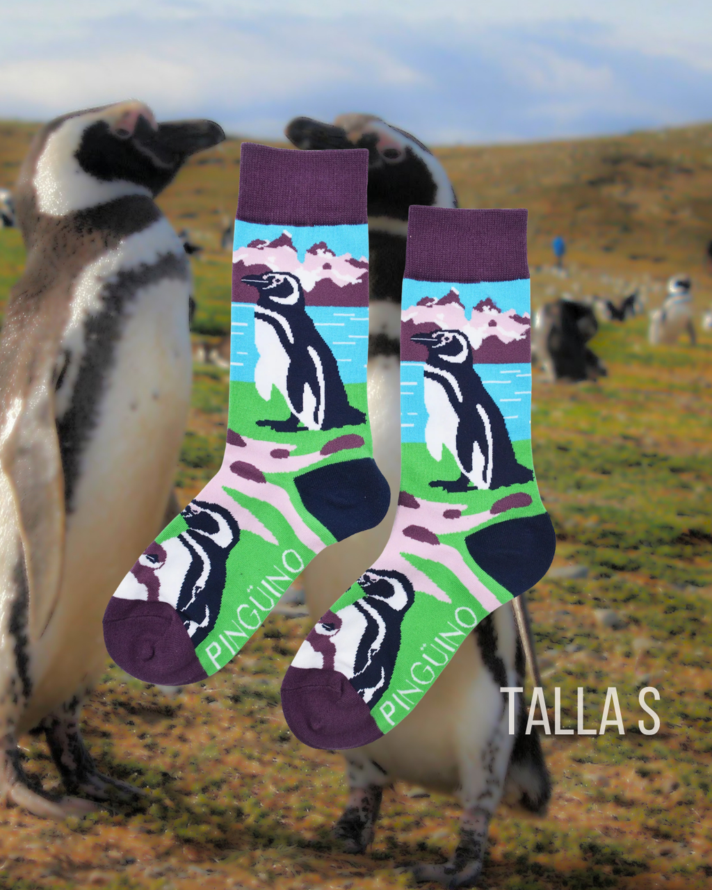 Calcetines Pingüino Magallanes