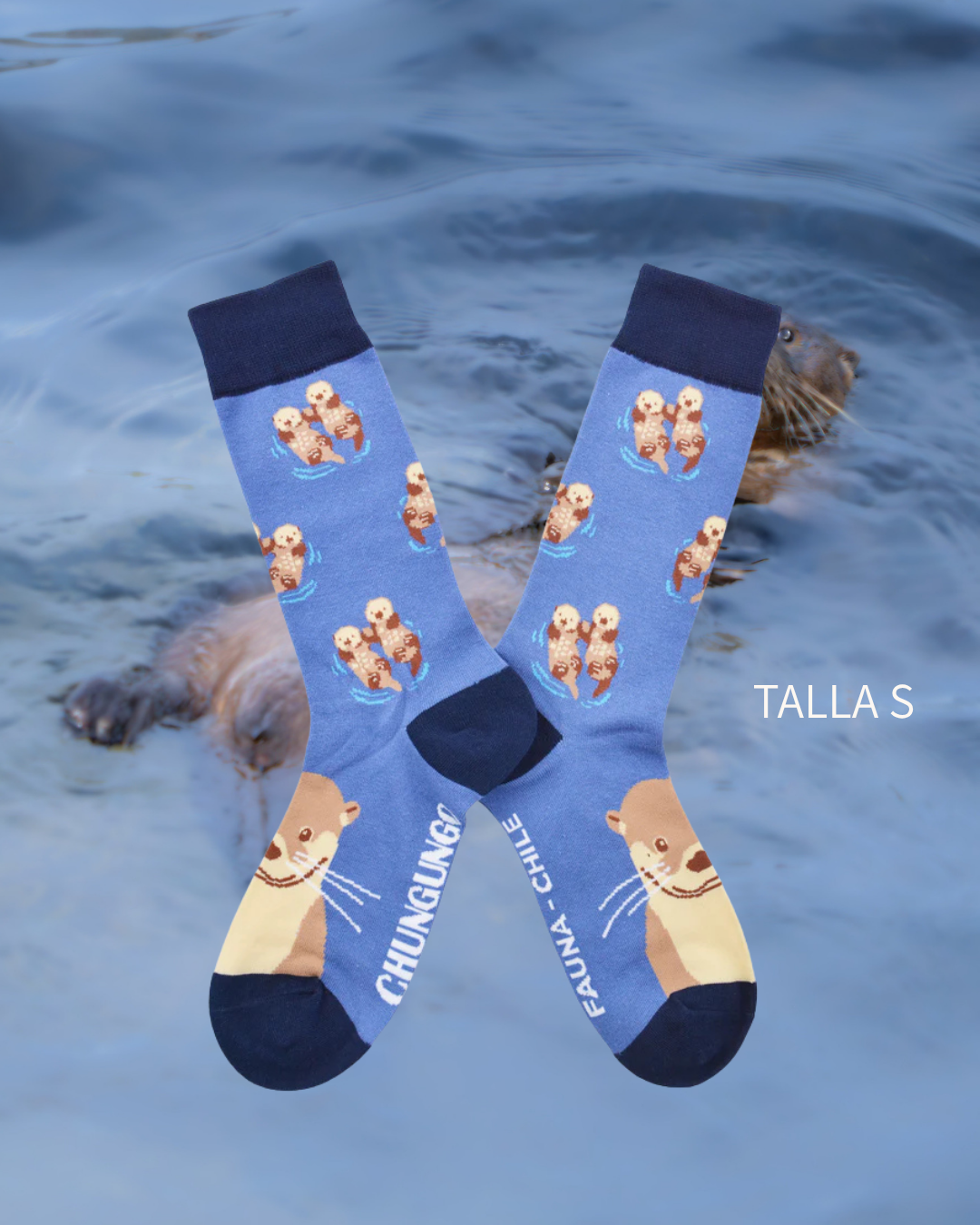 Calcetines Chungungo