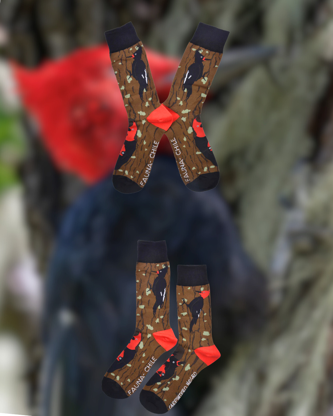 Calcetines Carpintero Negro