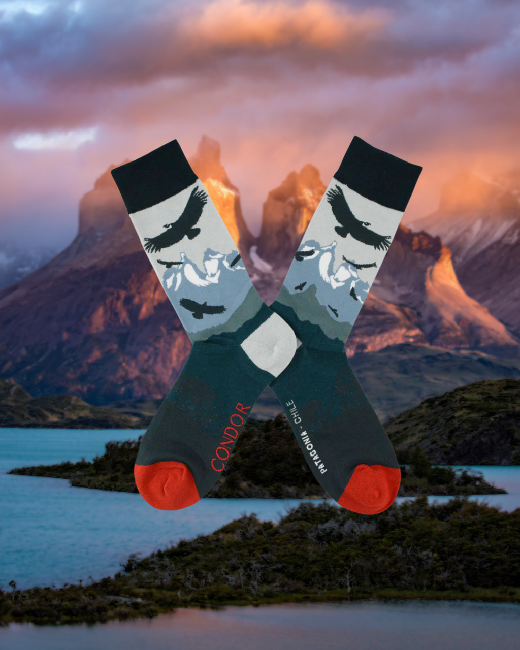 Pack Patagonia – Edición Fauna Chilena 🇨🇱