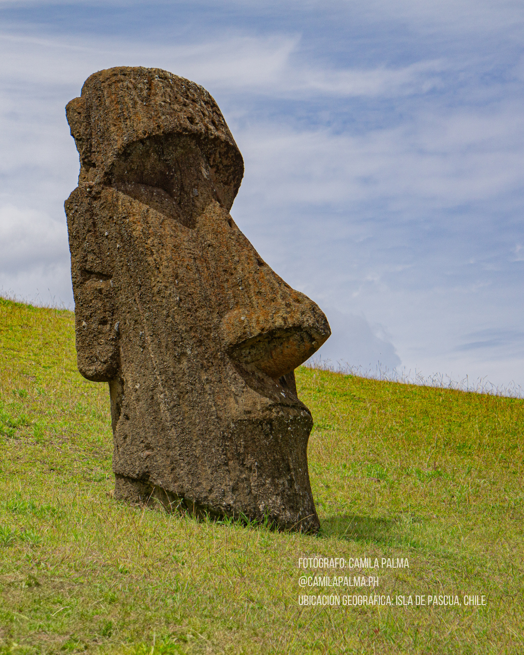 Calcetines Rapa Nui - Chile