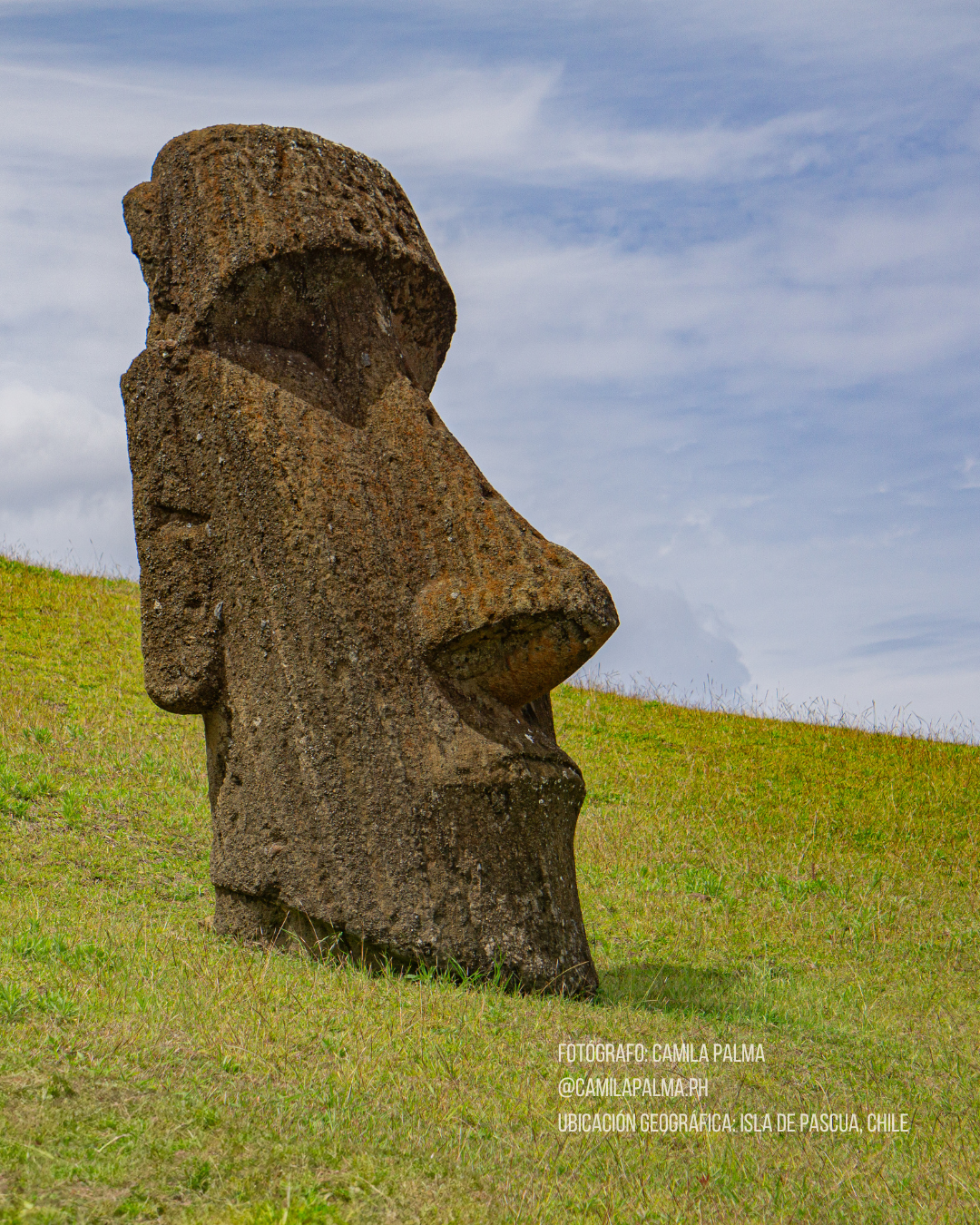 Calcetines Rapa Nui - Chile