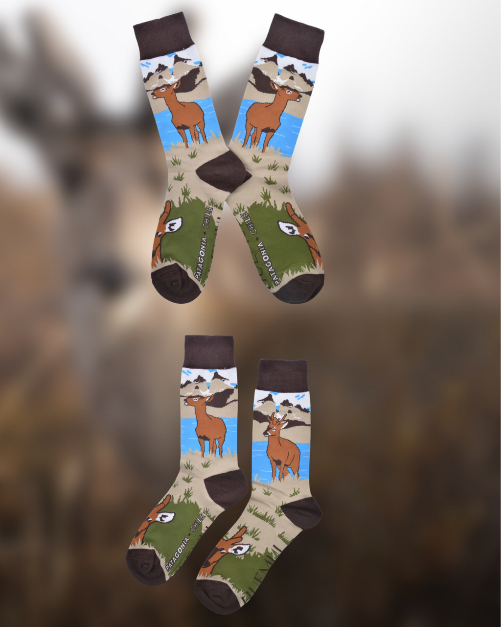 Calcetines Huemul