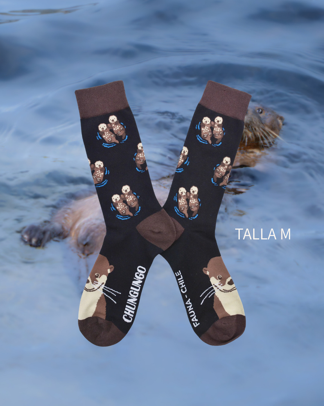 Calcetines Chungungo