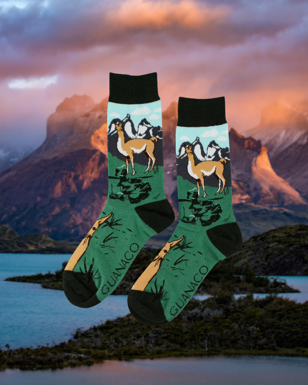 Pack Patagonia – Edición Fauna Chilena 🇨🇱