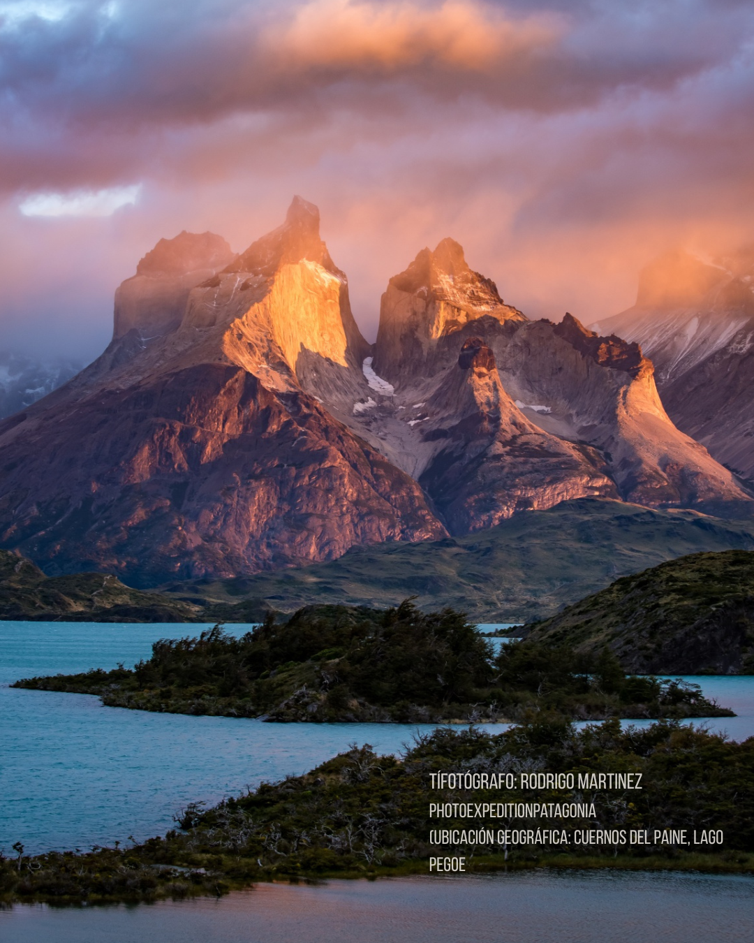 Pack Patagonia – Edición Fauna Chilena 🇨🇱