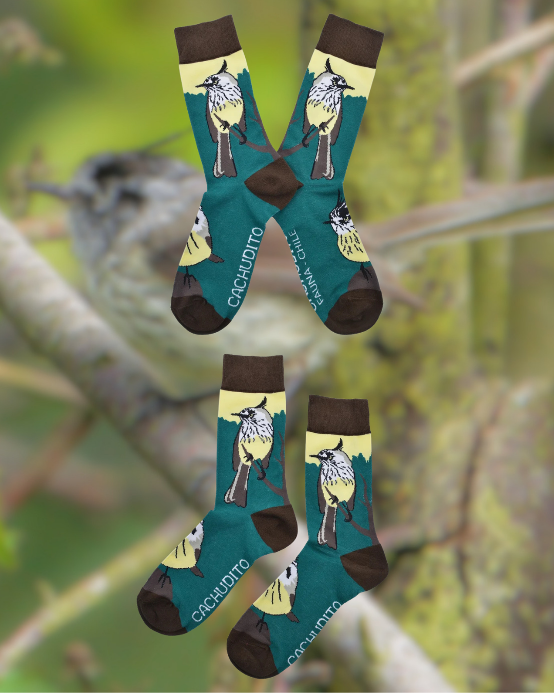 Calcetines Cachudito