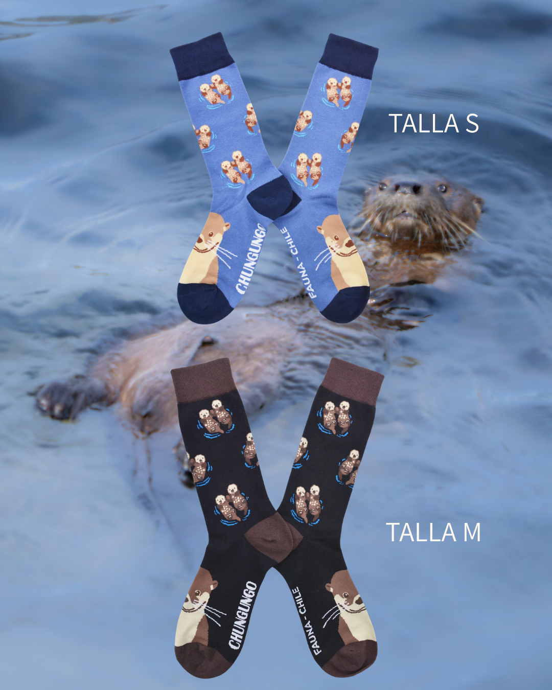 Calcetines Chungungo