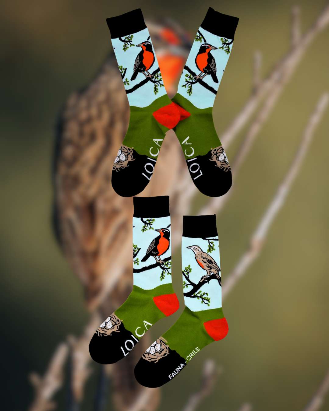 Calcetines Loica