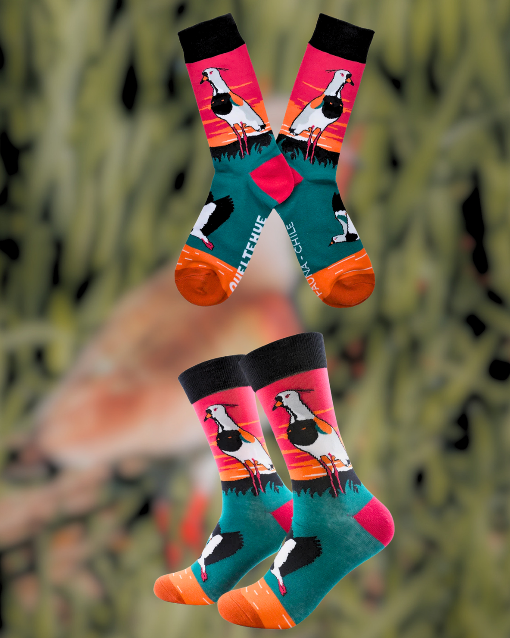 Calcetines Queltehue